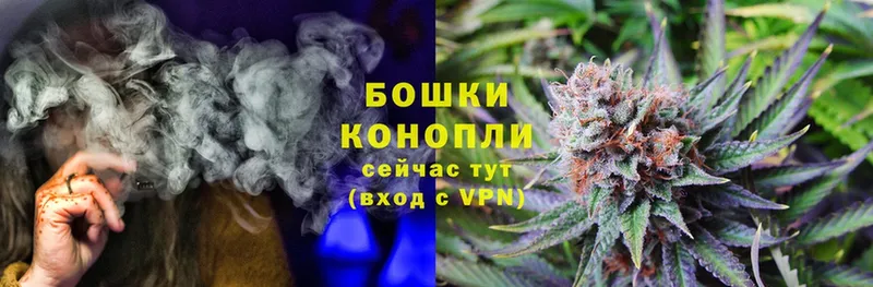 Бошки Шишки OG Kush  KRAKEN зеркало  Тотьма 